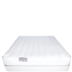 quantum latex firm best mattress