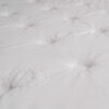 renaissance red dot texture